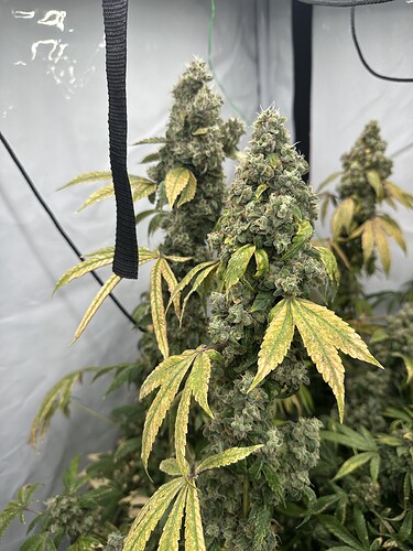 Growreport Bild 17