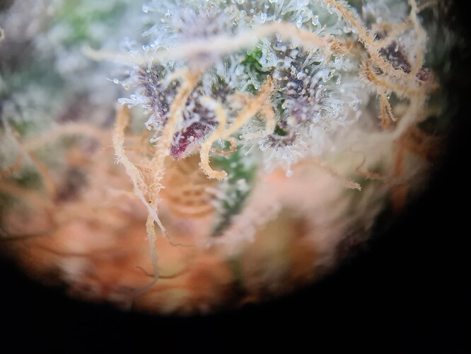 Growreport Bild 30