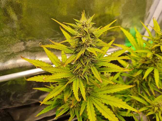 WhatsApp Bild 2024-06-23 um 18.54.44_252f1d75