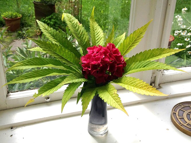 Growreport Bild 19