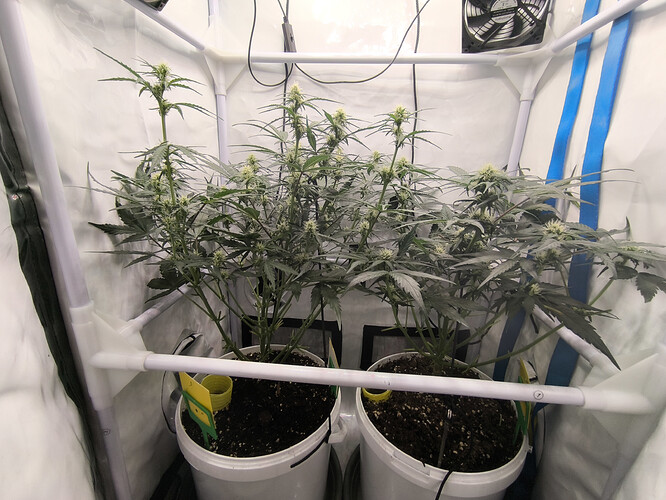 Growreport Bild 3