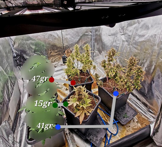 Growreport Bild 5