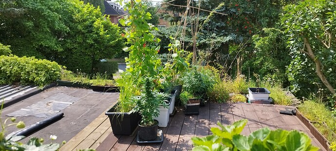 Growreport Bild 2