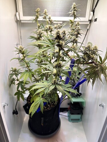 Growreport Bild 1