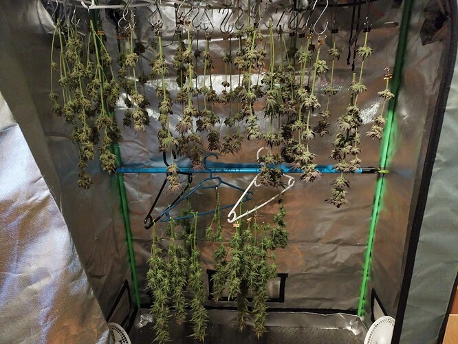Growreport Bild 1