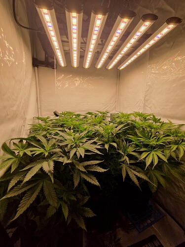 Growreport Bild 2