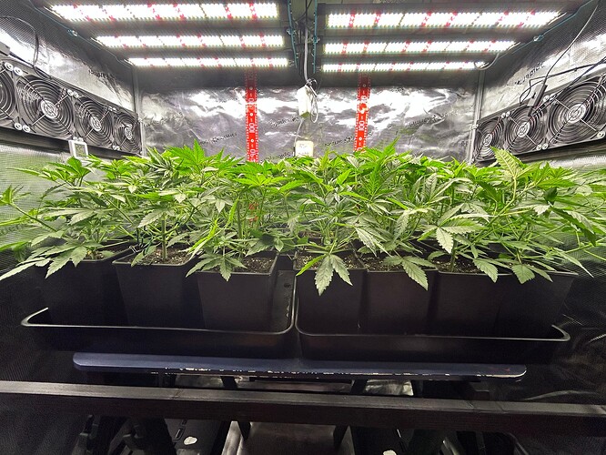 Growreport Bild 10