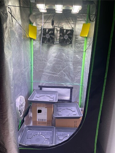 Growreport Bild 6