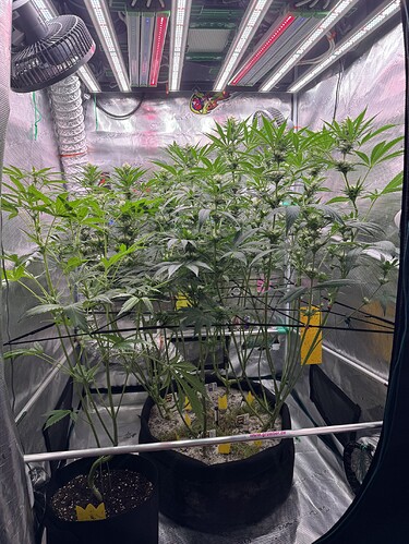 Growreport Bild 5