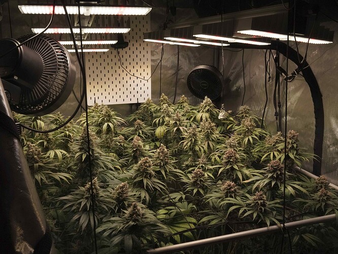 Growreport Bild 18