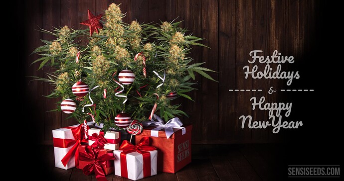 Cannabis-Christmas-gift-ideas-SensiSeeds-6-scaled