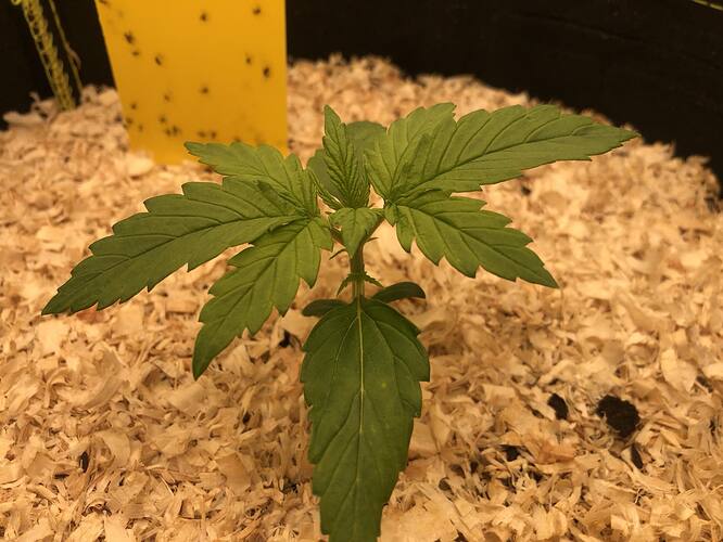 Growreport Bild 5