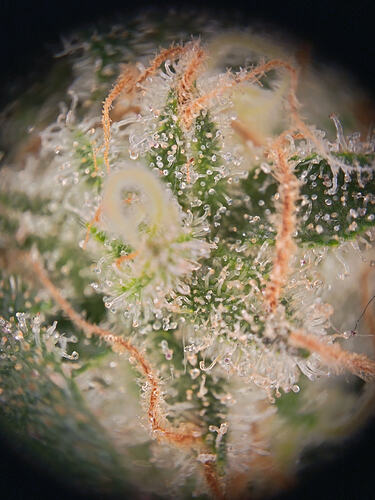 IMG_20260429_154842