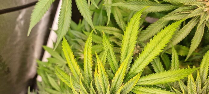 Growreport Bild 13