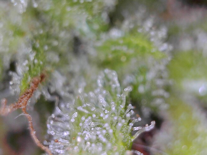 WIN_20240806_22_44_52_Pro