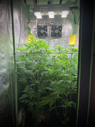 Growreport Bild 2