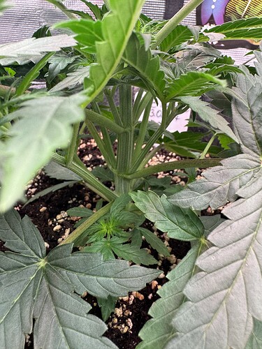 Growreport Bild 15
