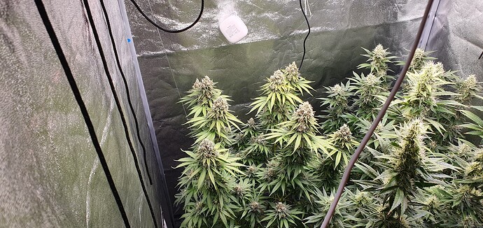Growreport Bild 1
