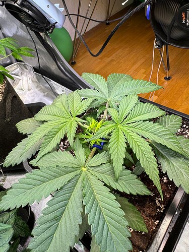 Growreport Bild 20