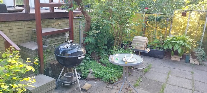 Growreport Bild 28
