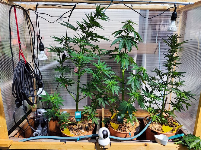 Growreport Bild 4