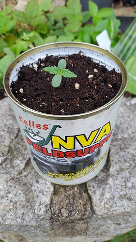 Growreport Bild 12