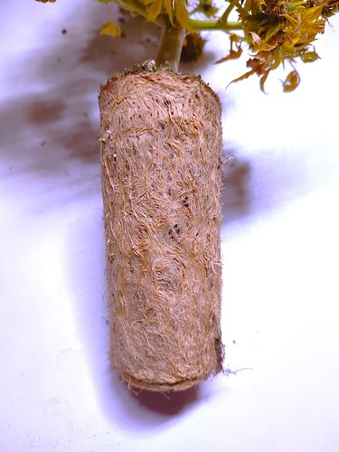 Growreport Bild 57