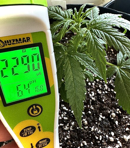 Growreport Bild 6