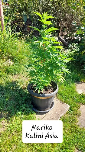 Growreport Bild 21
