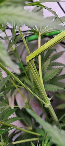 Growreport Bild 6