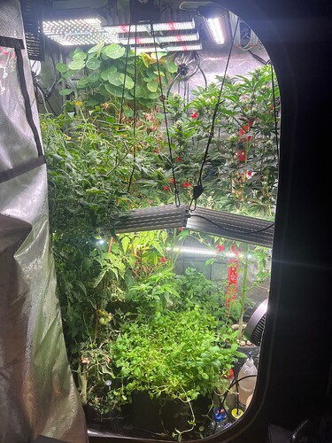 Growreport Bild 5