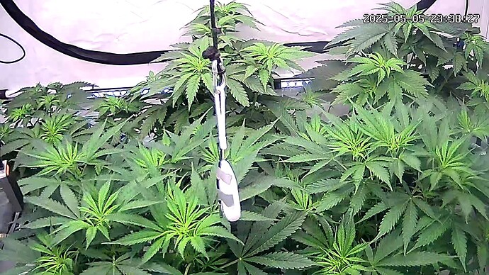 Growreport Bild 115