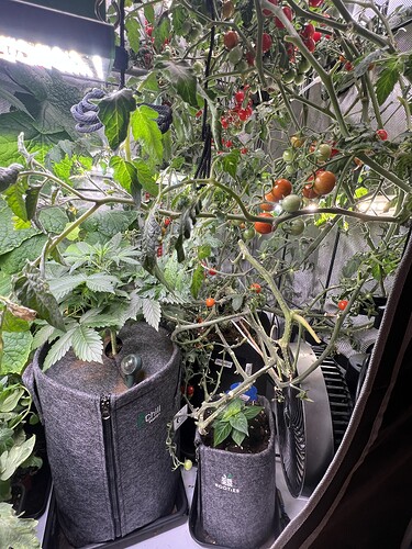 Growreport Bild 7