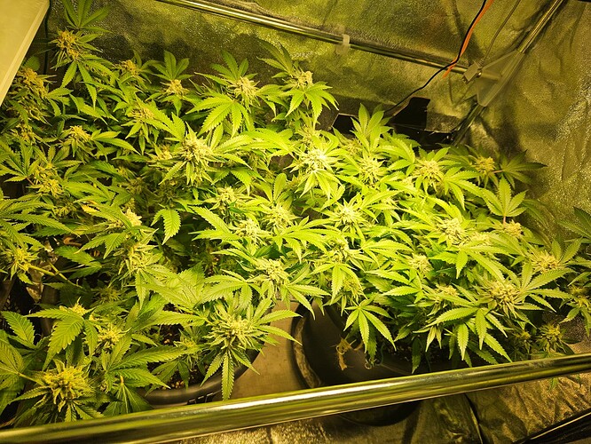 Growreport Bild 10