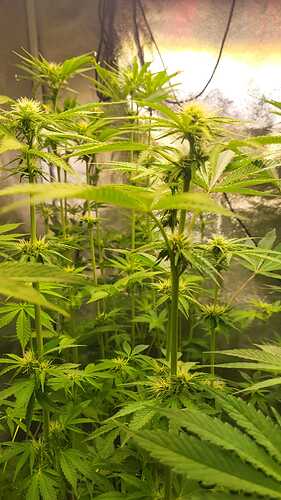 Growreport Bild 21