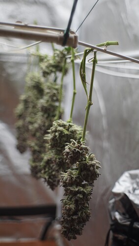 Growreport Bild 2