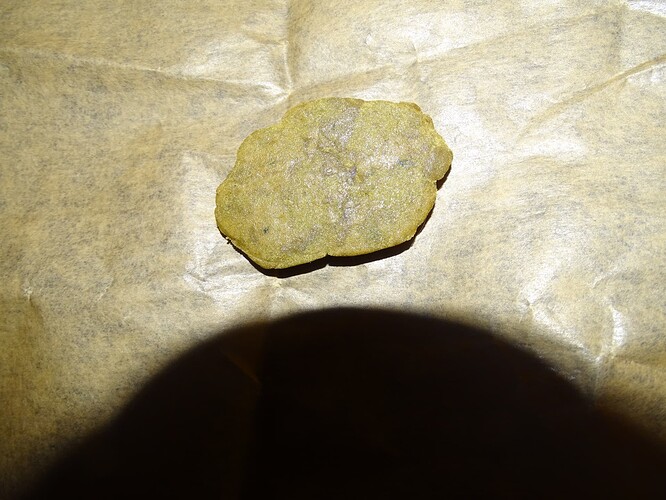 Growreport Bild 6
