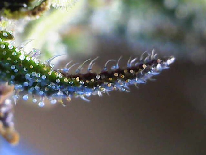 Growreport Bild 16