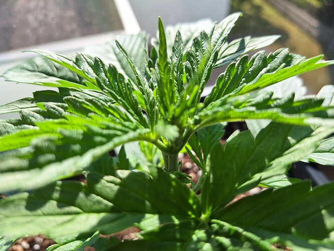 Growreport Bild 19
