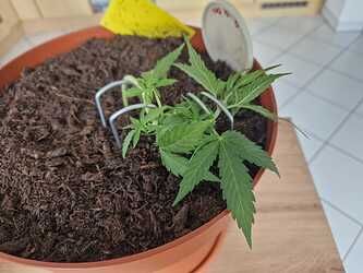 WhatsApp Image 2024-05-24 at 16.08.14 (3)