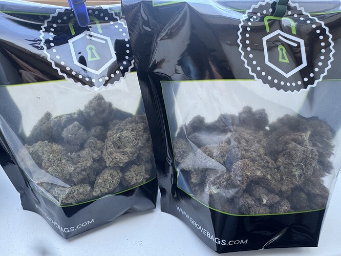 Growreport Bild 49