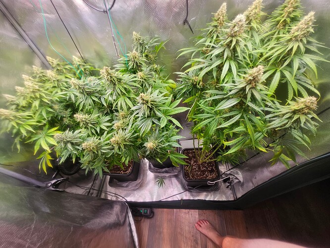 Growreport Bild 12