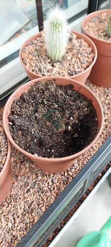 Growreport Bild 5