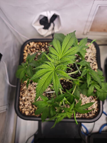 Growreport Bild 17
