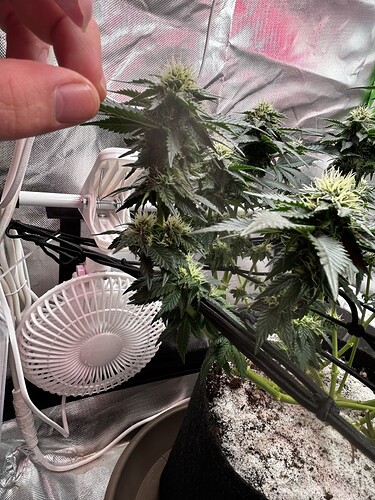 Growreport Bild 16