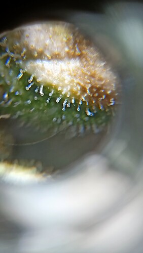 Growreport Bild 3