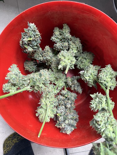 Growreport Bild 3