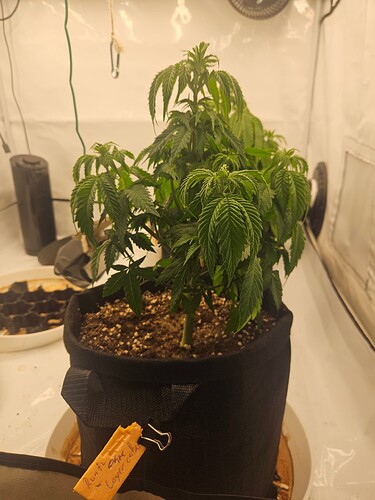 Growreport Bild 17