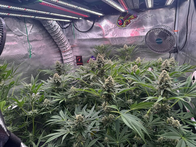Growreport Bild 10