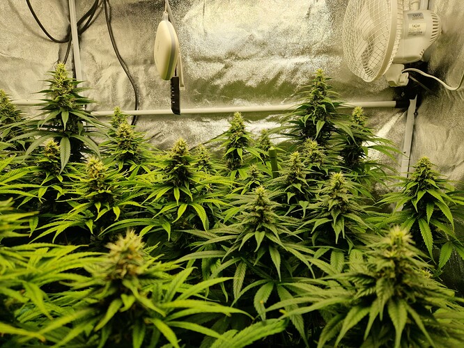 Growreport Bild 11